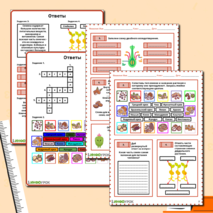 Рабочий лист по биологии на тему «Строение семени»