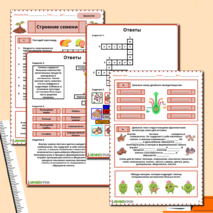 Рабочий лист по биологии на тему «Строение семени»