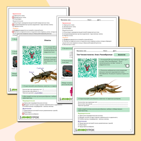 Рабочий лист по биологии 
