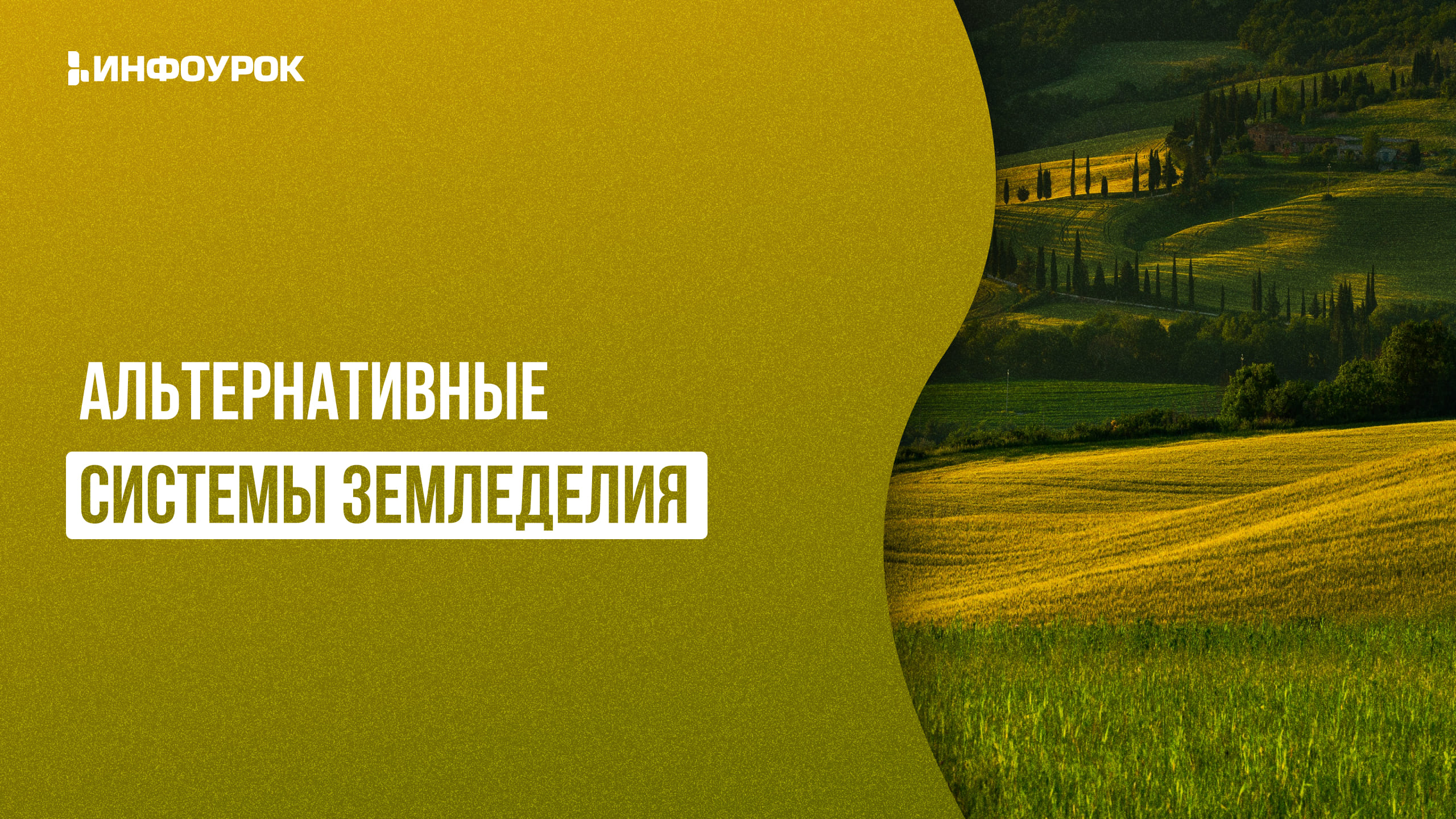 Обложка курса