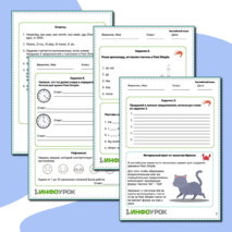 Past Simple. Прошедшее простое время