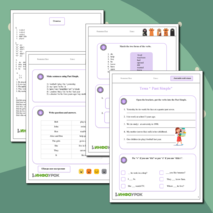 Past Simple. Прошедшее простое время