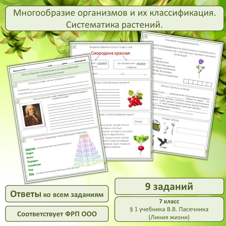 Тест систематика и классификация 7 класс. Тест систематика и классификация 7 класс
