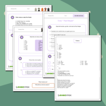 Past Simple. Прошедшее простое время