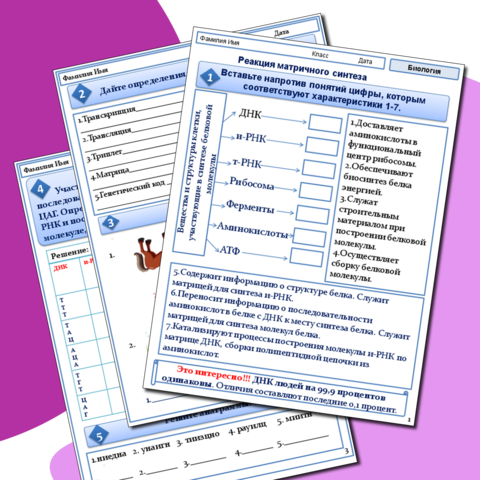 Рабочий лист «Реакция матричного синтеза»