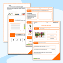 Комнатные растения.