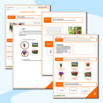 Комнатные растения.