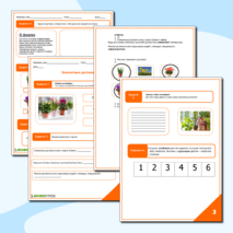 Комнатные растения.