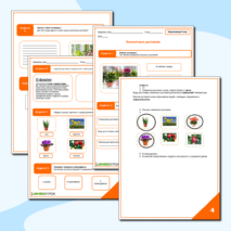 Комнатные растения.