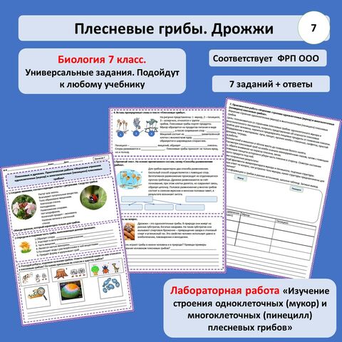 Рабочий лист «Плесневые и дрожжи. Практическая работа «Изучение строения одноклеточных (мукор) и многоклеточных (пеницилл) плесневых грибов»