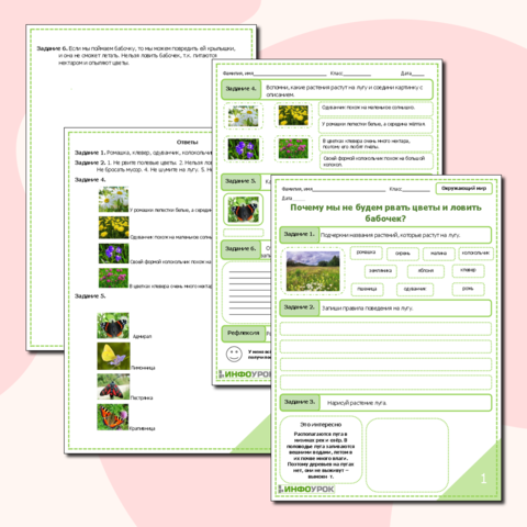 Рабочий лист по окружающему миру для 1 класса 