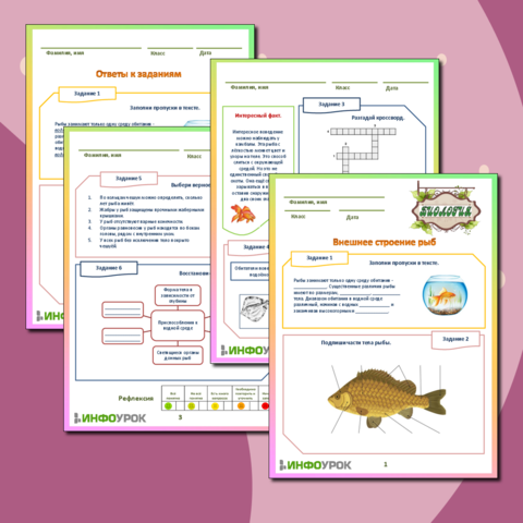 Рабочий лист 