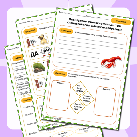 Подцарство многоклеточные. Тип Членистоногие. Класс Ракообразные.