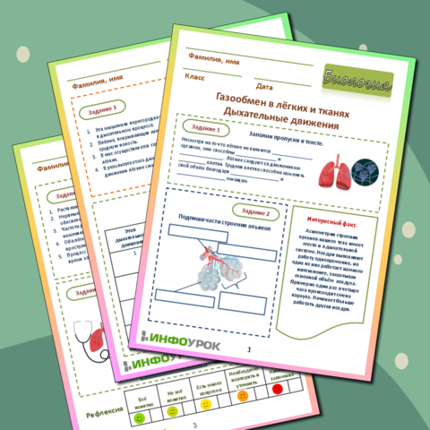 Рабочий лист 