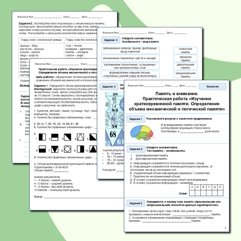 Рабочий лист по биологии 