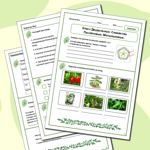 Рабочий лист «Класс Двудольные. Семейства Паслёновые.»