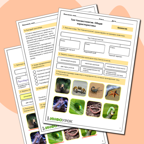Рабочий лист по биологии 