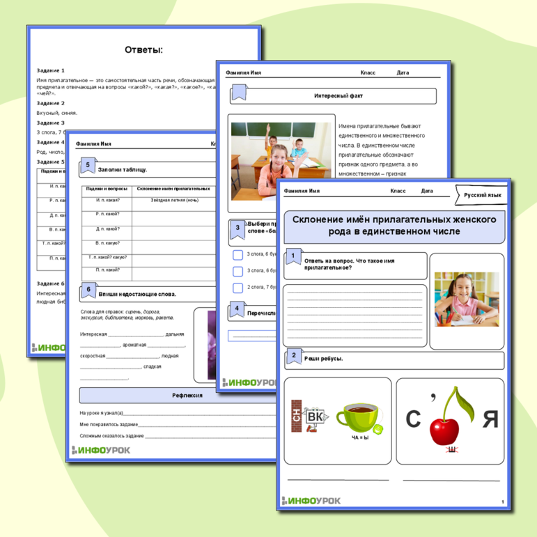 Рабочий лист по русскому языку на тему «Склонение имён прилагательных женского рода в единственном числе»