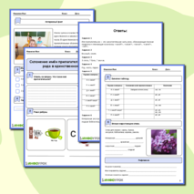 Рабочий лист по русскому языку на тему «Склонение имён прилагательных женского рода в единственном числе»