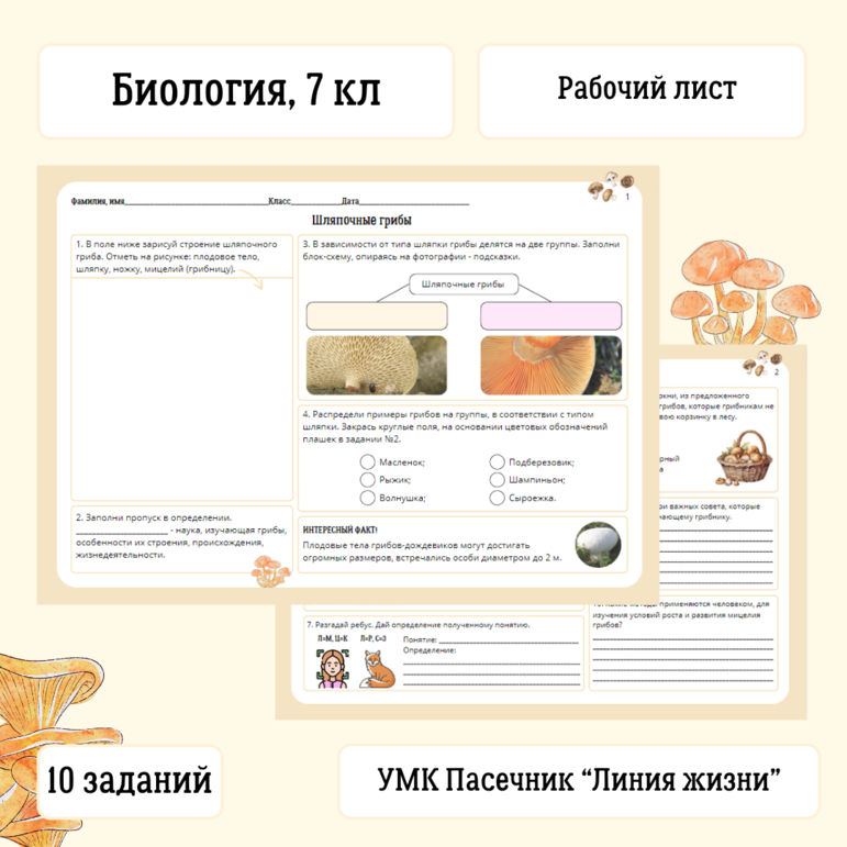 Рабочий лист по биологии: Шляпочные грибы, 7 класс, к УМК В.В ...