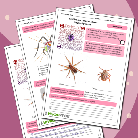 Рабочий лист по биологии 