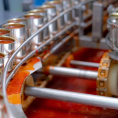 Обложка курса 'Особенности процесса технологической укладки и заливки продуктов для консервирования'