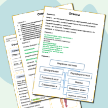 Рабочий лист по биологии «Строение нервной системы и её значение»