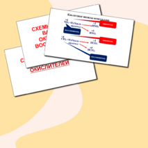 Презентация 