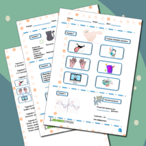 Рабочий лист 