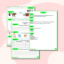 Рабочий лист 