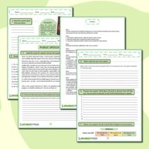 Рабочий лист «Публичное выступление (Public Speech)»