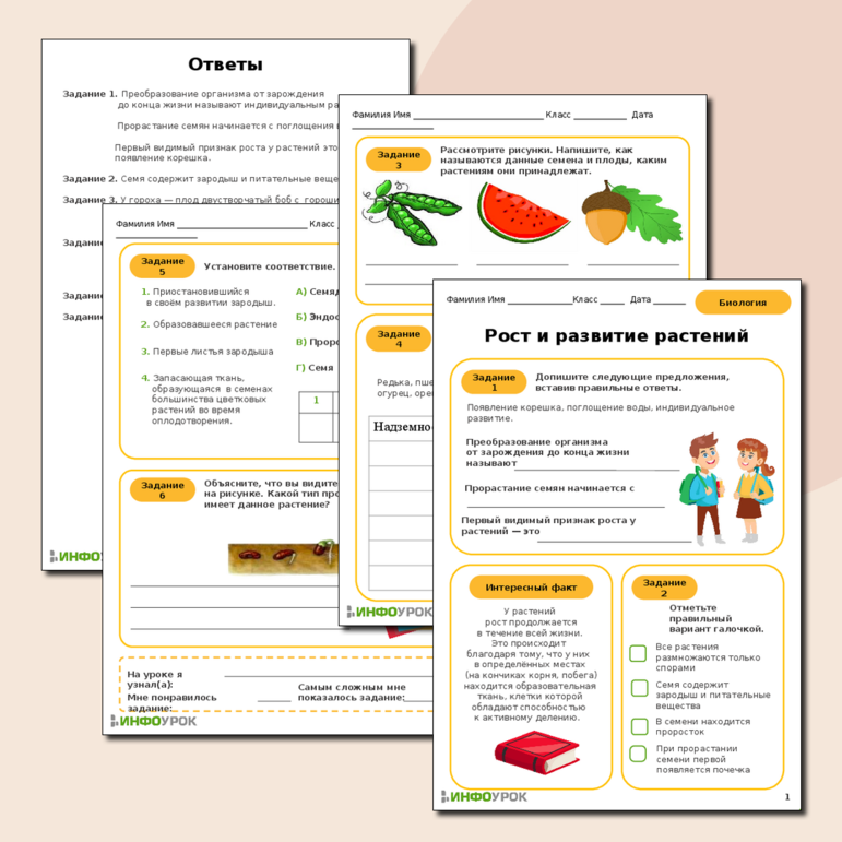 Рабочий лист по биологии на тему: 