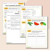 Рабочий лист по биологии на тему: 
