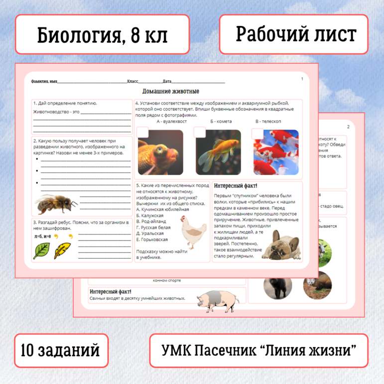 Презентация + Рабочий лист «Одноклеточные животные - простейшие ...