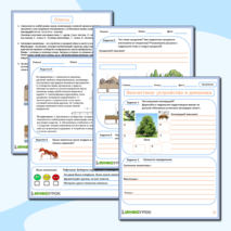 Рабочий лист 