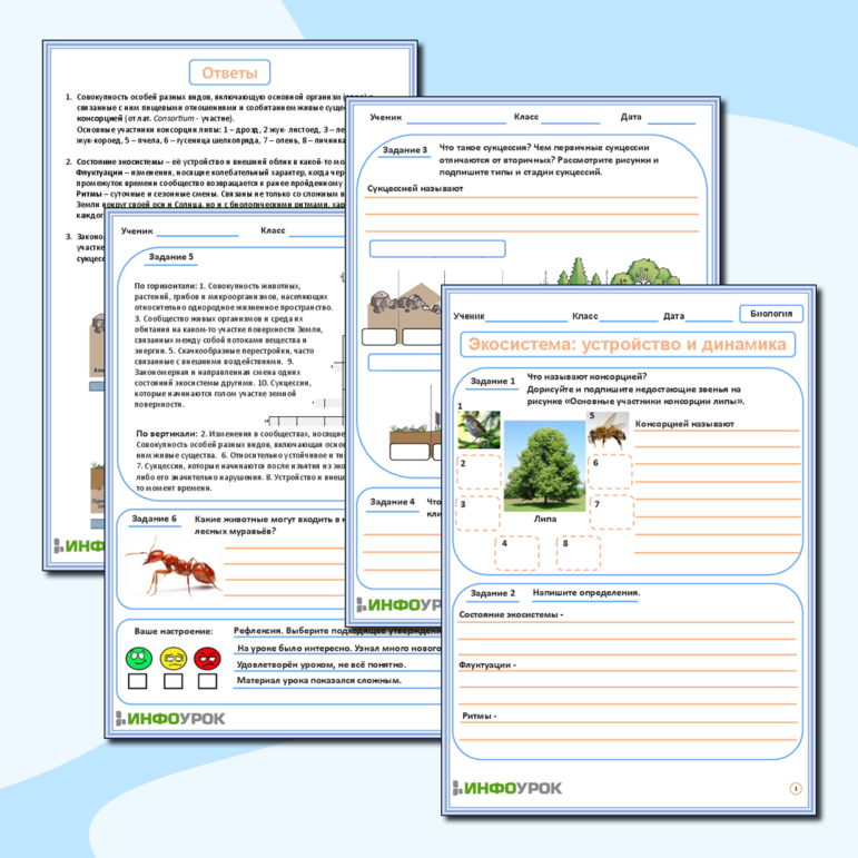 Рабочий лист 