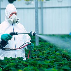 Обложка курса 'Современные подходы к защите растений и обеспечение безопасности при работе с пестицидами и агрохимикатами 1 и 2 категории токсичности'