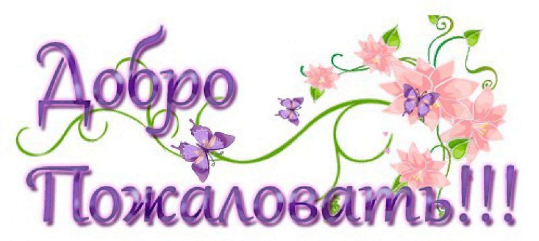 Picture background