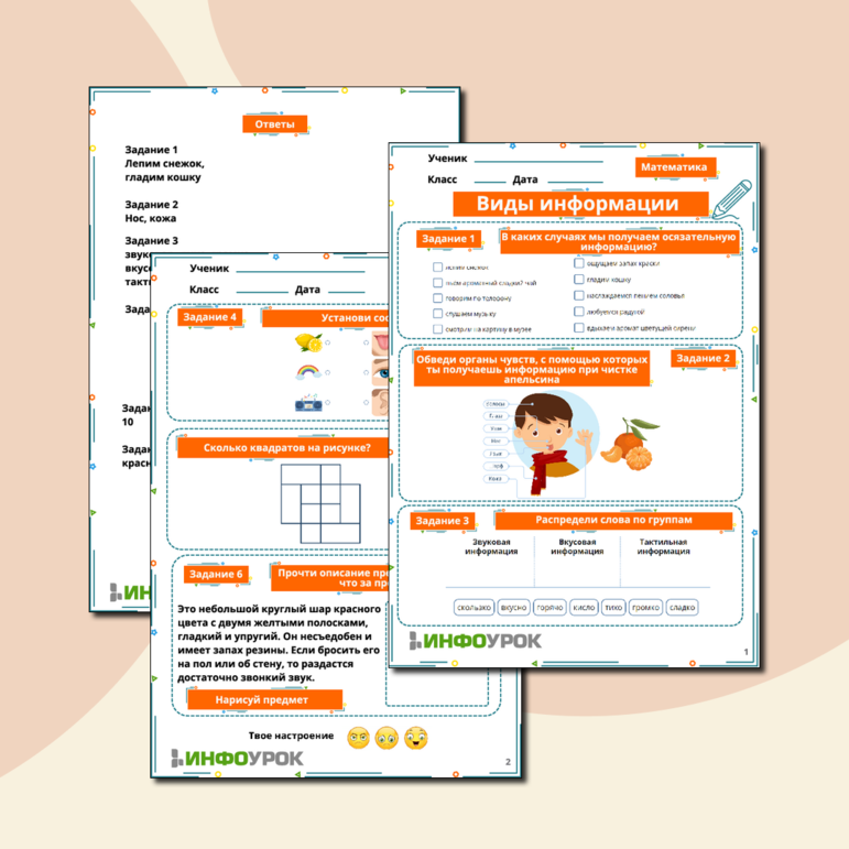 Рабочий лист по информатике Виды информации