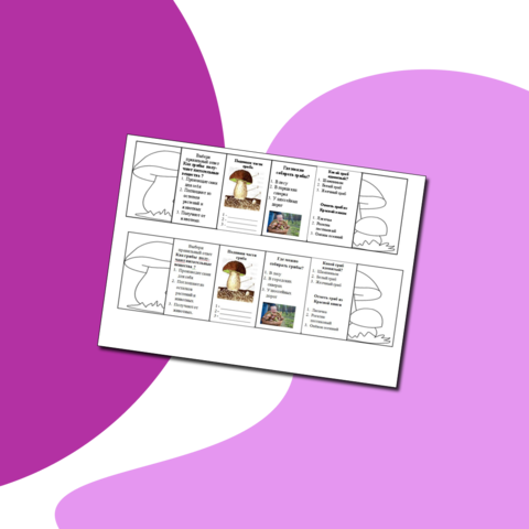 Рабочий лист/ проверка знаний по окружающему миру по теме 