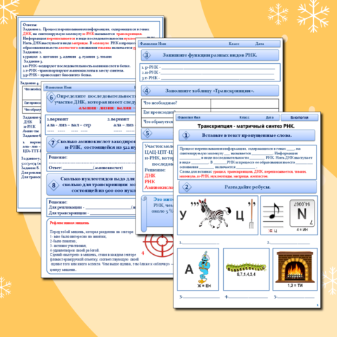 Рабочий лист 