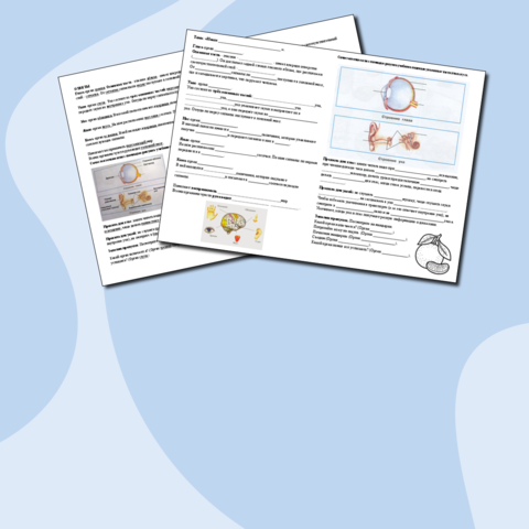 Рабочий лист. Окружающий мир. Органы чувств.