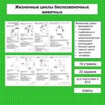 Тренажер по зоологии 