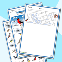 Рабочие листы к занятию по теме: 