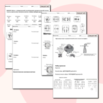 Деление клетки (митоз,мейоз)