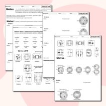 Деление клетки (митоз,мейоз)