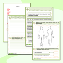 Рабочий лист ОБЖ- «Первая помощь при ожогах»