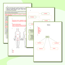 Рабочий лист ОБЖ- «Первая помощь при ожогах»