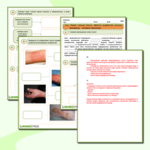 Рабочий лист ОБЖ- «Первая помощь при ожогах»