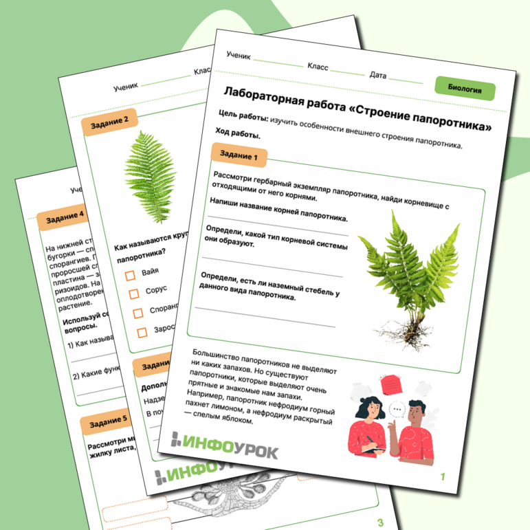 Рабочий лист. Лабораторная работа по биологии для 7 класса. Наблюдение ...